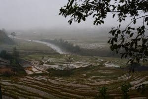 landscape with rice fields and fog by Chany Crystal