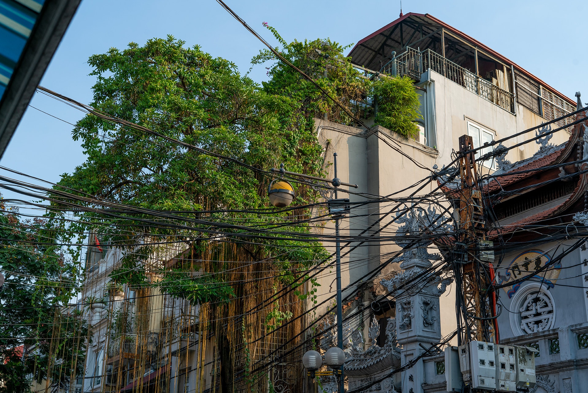 trees, an apartment and a temple in Hanoi's Old Quarter