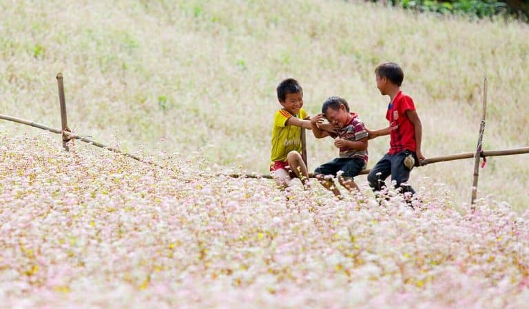 kids playing in fields in vietnam in summer
