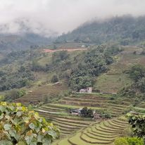 The rice terraces of Hoang Su Phi