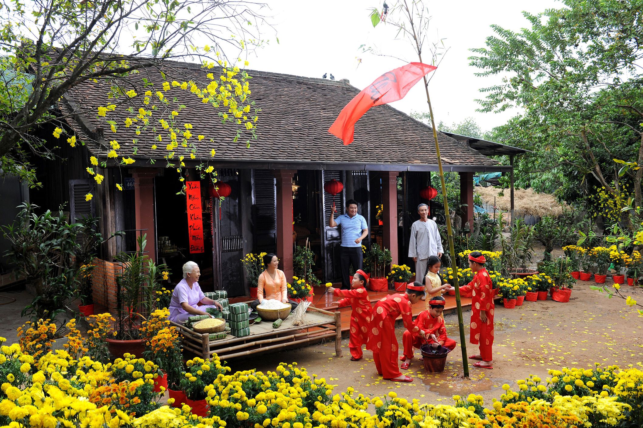 homestay experience for lunar new year