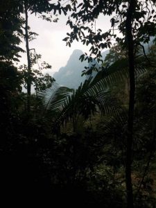 jungle trekking in Xuan Son National Park