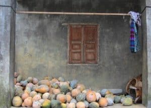 porch of a minority home near Meo Vac - pumpkins are one of the few crops that grow here