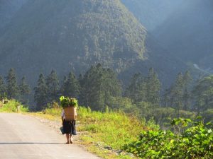 young girls and old ladies in Ha Giang carry heavy loads for miles, eventually leading to permanent disfigurement