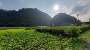 fields and hills in Ba Khan, Hoa Binh