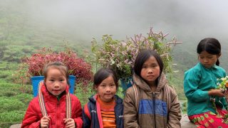 ethnic kids in ha giang on their way back from flower picking in the fields