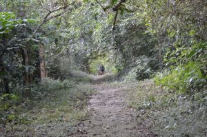 the last section of the 5km trail coming back to Bong in Cuc Phuong