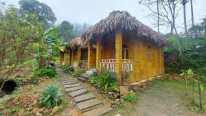Private chalets in quynh nga homestay xuan son national park