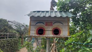 A cool looking birdhouse on a local farm on banana island
