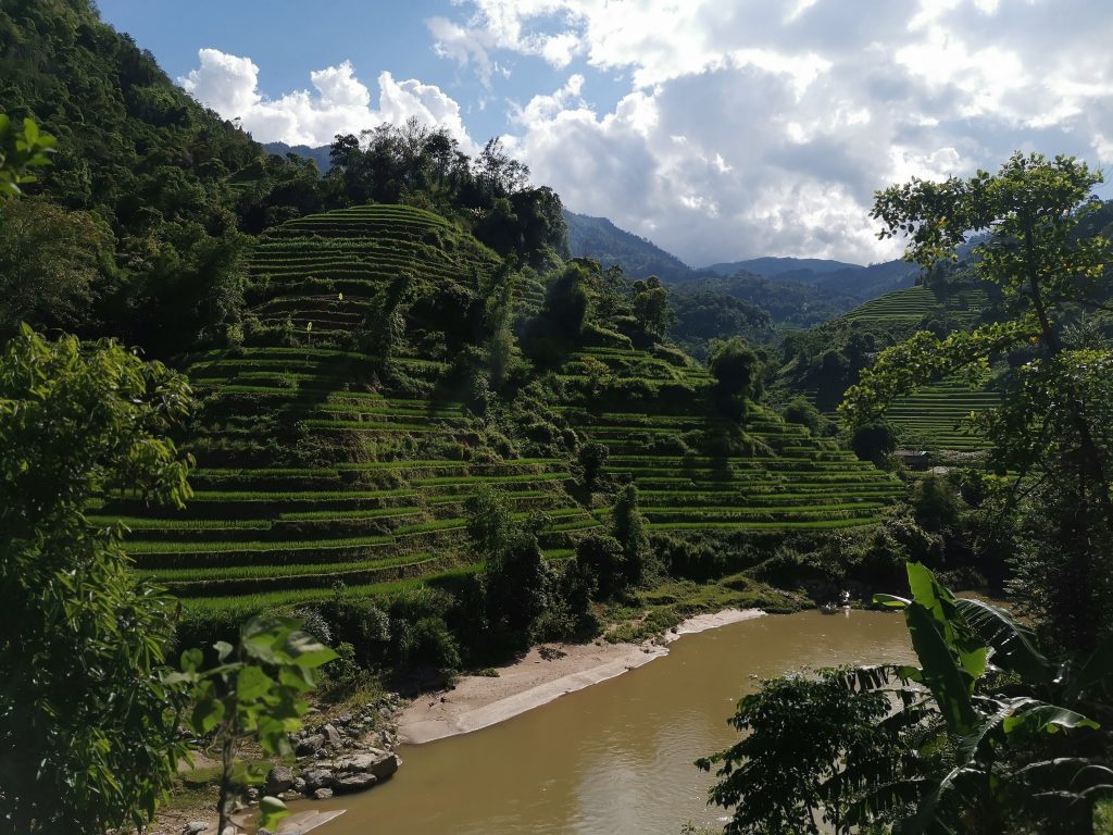 river view with terraced rice fields