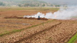 a farmer burning stuff just outside Hanoi