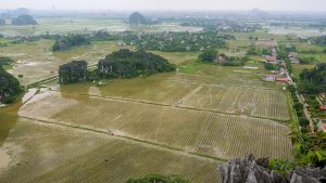the view from Mua Cave, Ninh Binh on a wet day