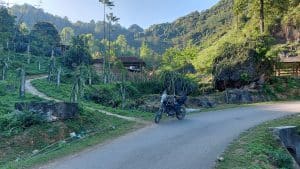 a small house surrounded by dragon fruit trees on an unnamed rd in cao bang4