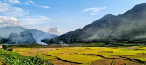 golden rice fields and the burning of stubble in Cao Bang
