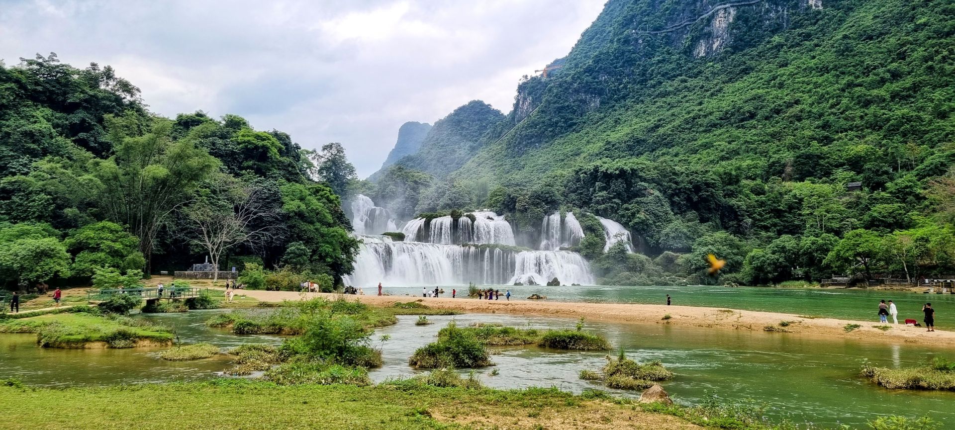 a wide view of ban gioc waterfall with a bird flying past