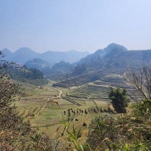 gorgeous rice terracing way up in Lao Cai