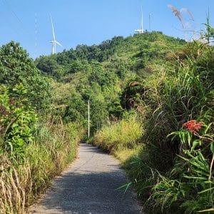the small winding road through the wind farm near Lao Bao