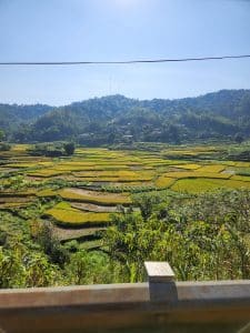 the rice paddy of lung van commune