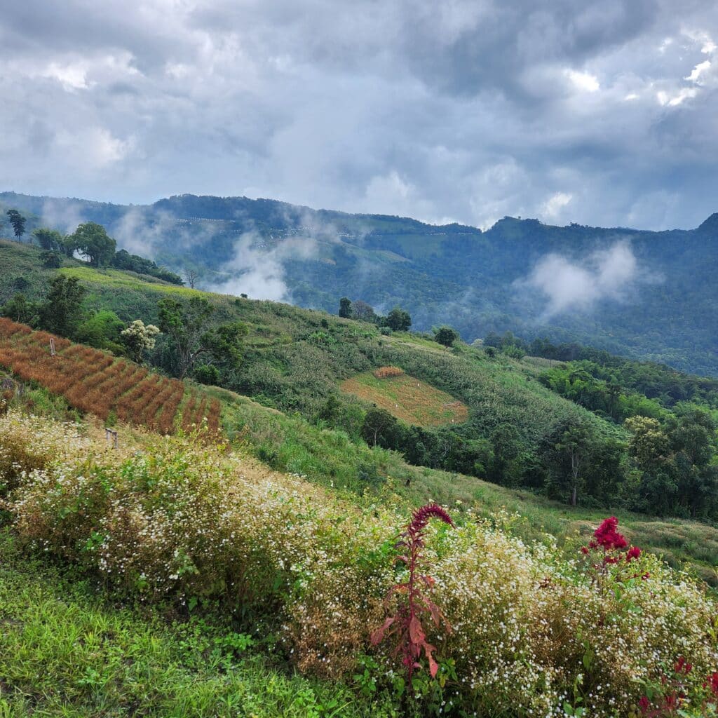 the view out over the hills