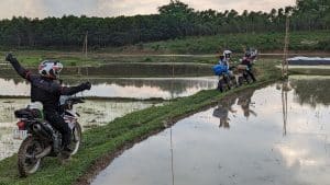 riding across th rice paddies in vietnam