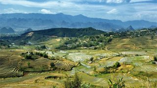 terraced rice fields in Northern Vietnam