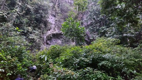 Lang cave (hang lang) hiding in the undergrowth, xuan son national park