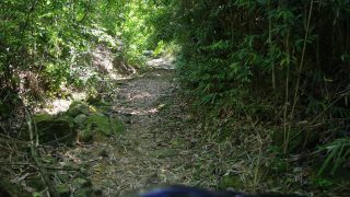 riding through the forest to Thac Ba Ao