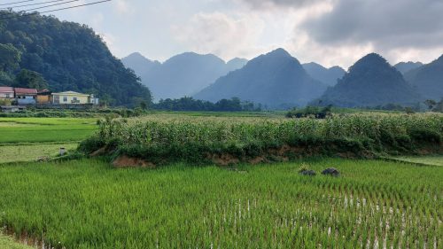 rice fields, houses and mountains in Ba Khan, Hoa Binh