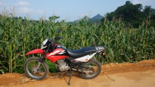 Honda XR 150 beside a Hoa Binh corn field