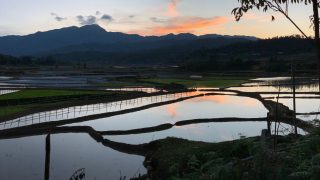 sunset over the rice fields in Mu Cang Chai