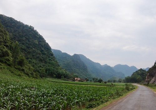 the floor of Mai Chau Valley on a cloudy day