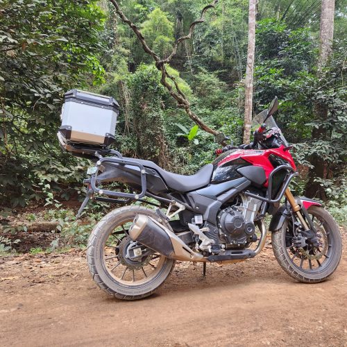 The Honda CB500x on the forest trail