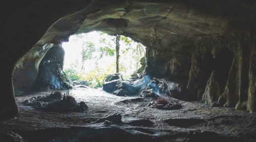 Cave of Pre-Historic Man in Cuc Phuong