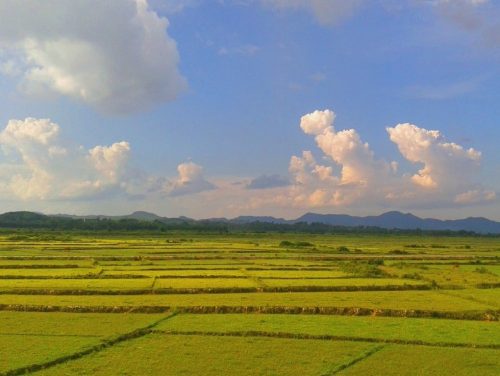 it’s a wide, green and agricultural landscape around Pho Chau