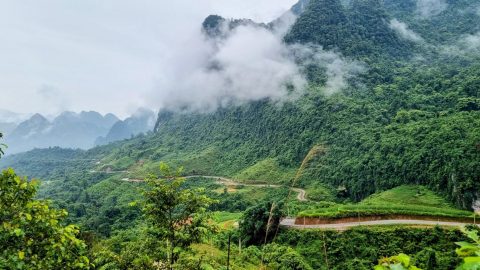 misty mountains and winding road 3