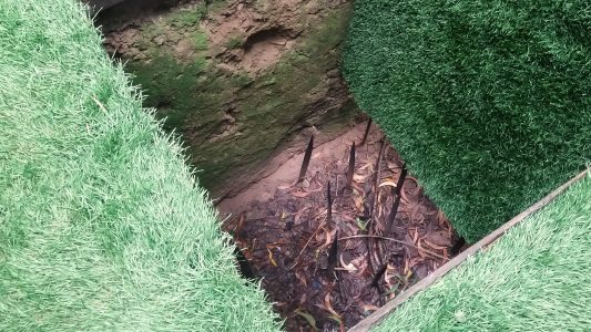 spike trap at Cu Chi Tunnels spike trap at Cu Chi Tunnels